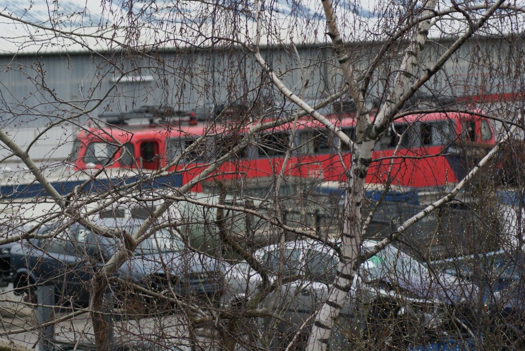 110 417 hinter B�umen.