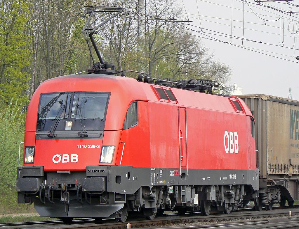 1116 239-3 der �BB mit dem  Wenzel  in Gremberg am 20.04.2010