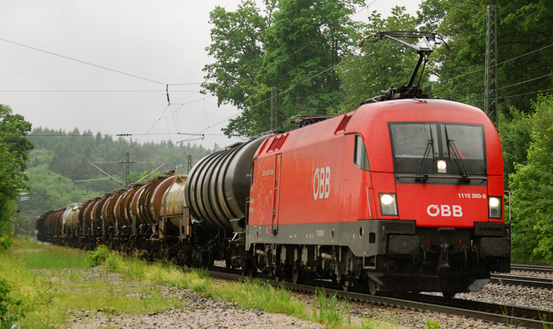 1116 260-9, der  Lokf�hrerschein-Ox , aufgenommen am 31.05.10, bei der Durchfahrt durch A�ling.