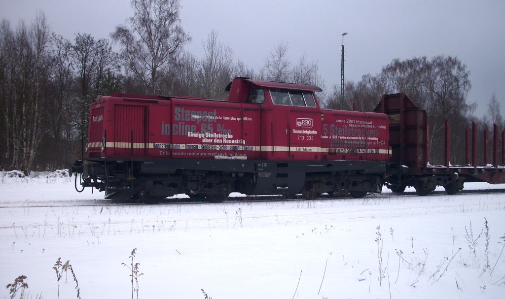 213 334 der Rennsteigbahn mit Werbung von der Seite (14.01.10)