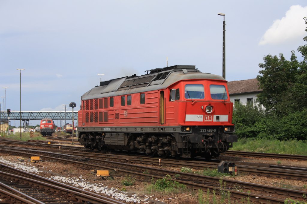 232 486 am 02.08.2010 im Bahnhof von M�hldorf.