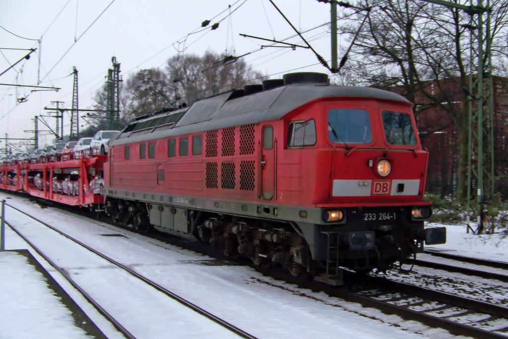 233 264-1 kommt mit einen Autozug aus Maschen. (06.02.10)