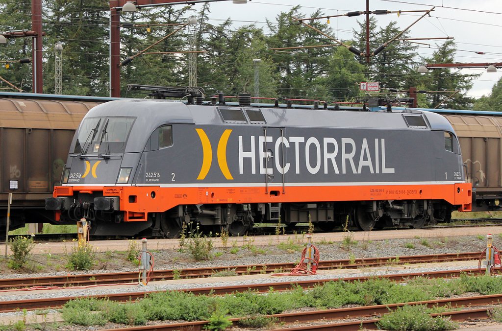 241.516  Ferdinand  rollt abgeb�glet �ber die Netztrenstelle in Padborg am 05.08.2011