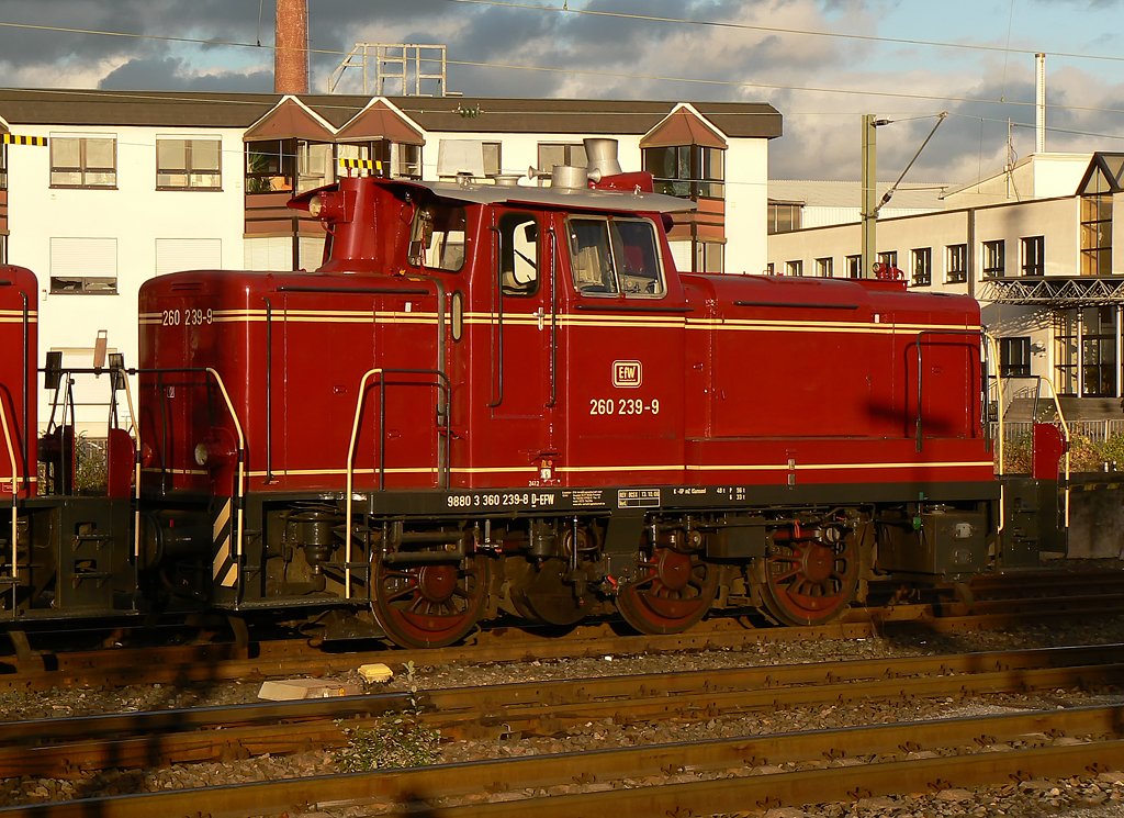 260 239-9 der EfW, abgestellt am Bf. Neuwied (Nov.09)