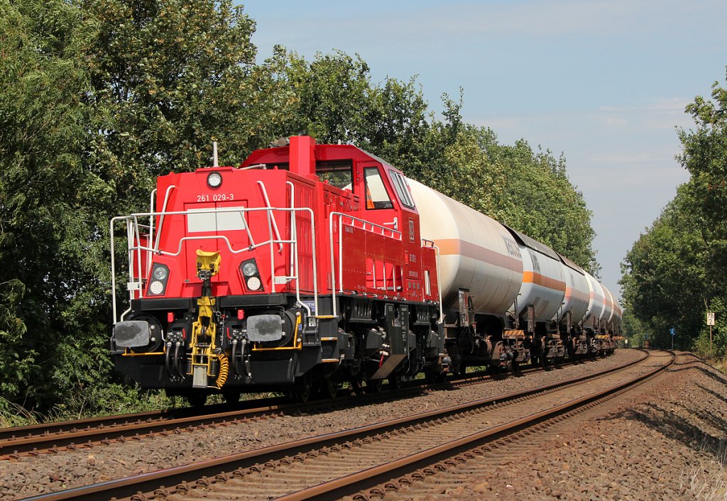 261 029-3 in Moorsum am 03.08.2011