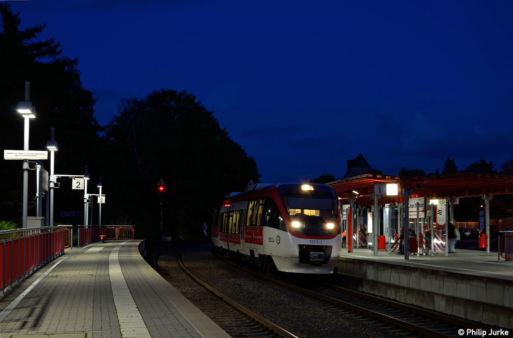 643 238-8 als S28 nach Kaarster See am 07.10.2012 in Mettmann Stadtwald.