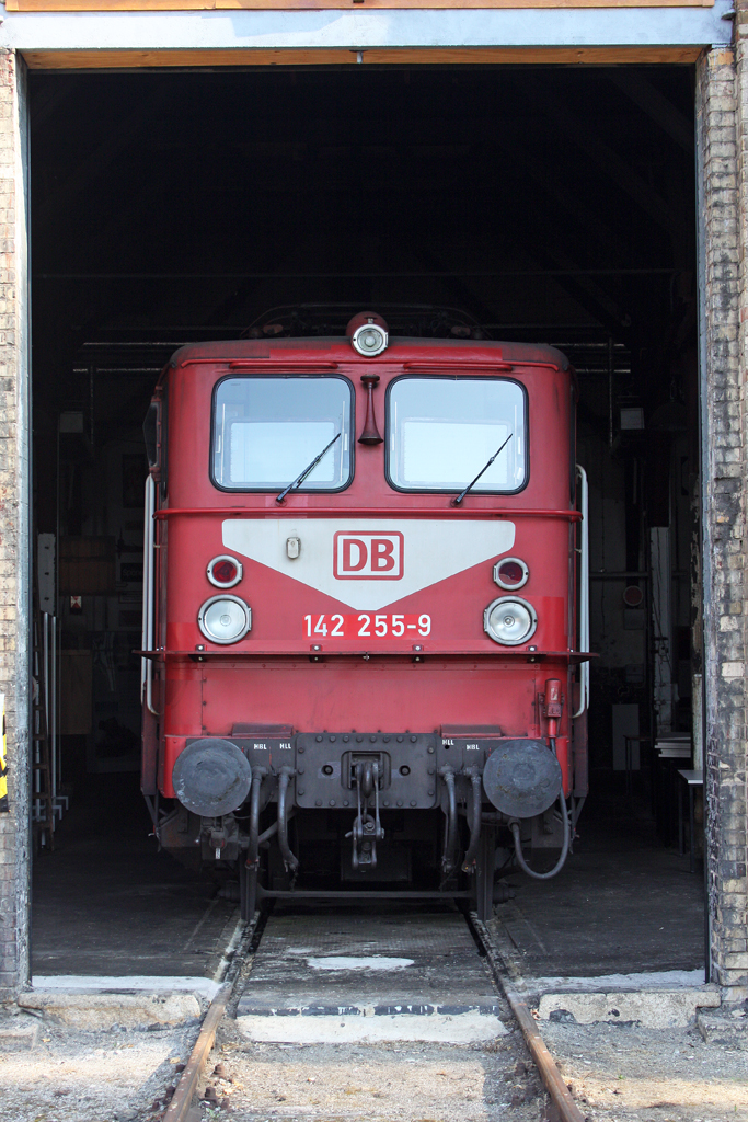 Die 142 255-9 im DB Museum Halle (Saale) am 02,07,10
