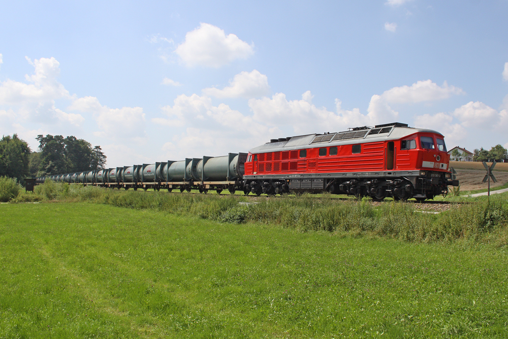 Die 233 367-2 bei Kastl am 04,08,10