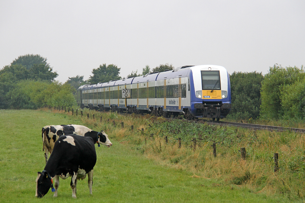 Die NOB mit der ER20-014 (223 014-2) bei Nieb�ll am 16,08,12