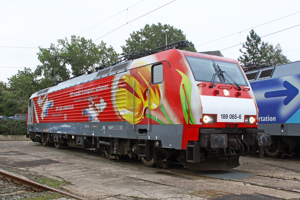 Die Tulpenlok 189 065-6 beim BW Fest Osnabr�ck am 19,09,10