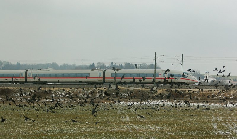 Ein ICE im Kr�henschwarm! Aufgenommen am 15.12.09, Strecke Ulm-Augsburg, kurz nach Burgau.