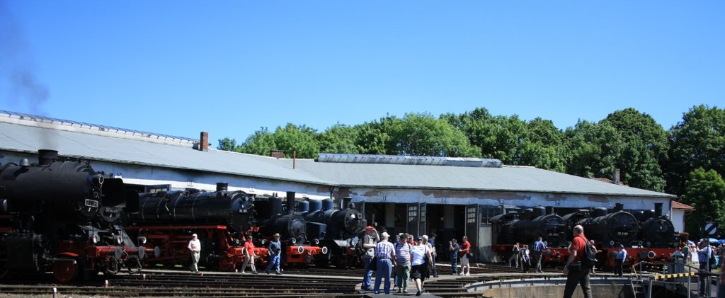 Eine Art Panorama des Ringlokschuppens des Bayerischen Eisenbahnmuseums N�rdlingen. Zu sehe sind unter anderem 52, 50 �l, 44 �l, 56, 94 und so weiter. Am 05.06.2010