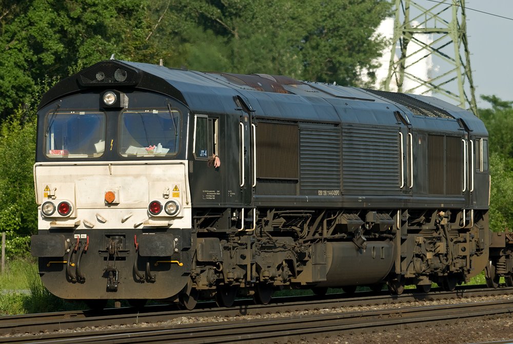 Fotografiert am 5. Juni 2010 am Gnf K�ln-Gremberg. 150mm, ISO 100, F6,3 , 1/500sec. [ Nikon D200 + Sigma 100-300 F4 EX DG APO HSM IF ]