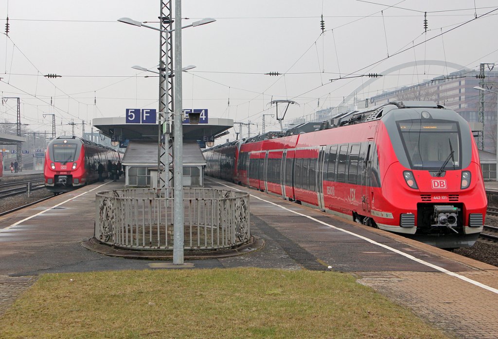 Hamstertreffen in K�ln Messe/Deutz am 29.03.2013
