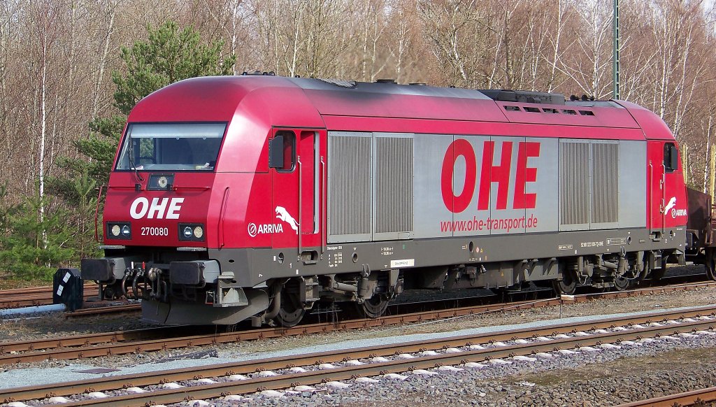 OHE 270080 steht mit einen leeren Holzzug in Munster (01.04.10)