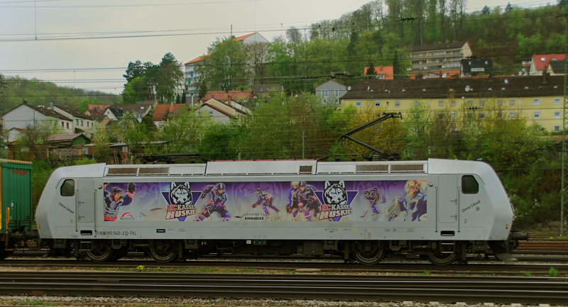 Portrait Kassel Huskies, 185 540-7, Oma Liesel, aufgenommen am 30.04.13, in Treuchtlingen.