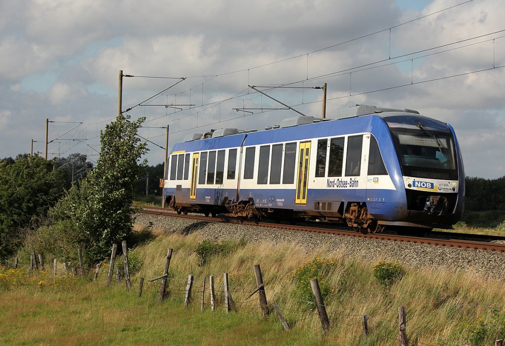 VT 304 der NOB bei Schleswig am 05.08.2011