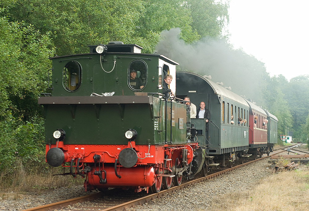 Waldbr�l sie machte an diesem Tag Pendelfahrten zum bergischen L�wen Fotografiert 11.9.2010