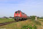 Die 218 344-0 und 218 389-5 mit einem IC kurz vor Nieb�ll am 22.07.2013