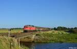 232 280-8 mit dem EZ 47416 (Maschen Rbf - Fredericia) am 21.07.2015 bei Stedesand.