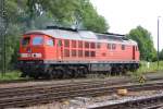 233 486 am 02.08.2010 im Bahnhof von M�hldorf.