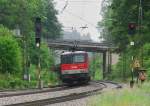 1144 240, aufgenommen am 31.05.10, bei der Durchfahrt durch A�ling.