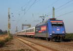 101 100-6 bei Br�hl am 28.10.2012