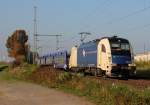 183 704 der WLC in Porz Wahn am 24.10.2012