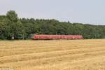 Der 612 014 und 612 159 bei Vienenburg am 25.08.2013