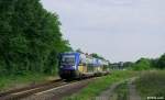 73917 und 73916 als RB 18813 (Neustadt(Weinstr)Hbf - Wissembourg) am 01.06.2014 bei Winden(Pfalz).
