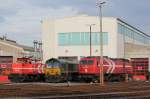 Mal bei der HGK �bern Zaun geguckt am Abend des 30.04.2012 in Br�hl-Vochem
