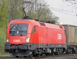 1116 239-3 der �BB mit dem  Wenzel  in Gremberg am 20.04.2010
