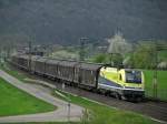 Der t�gliche Papierzug durchs Maintal mit der 216 930 von Cargo Serv.at  Aufgenommen bei Wernfeld am 21.04.2010.