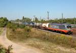 Hectorrail´s 242.502  Zurg  bei Porz(Rhein) am 05.09.2013