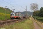 Die 242.502 ( ZURG ) in Pommern ( Mosel ) am 22.08.2013